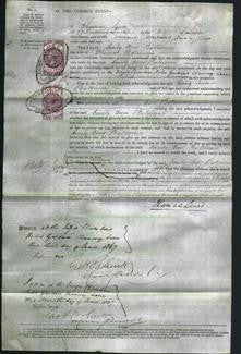 Court of Common Pleas - Emily Ann Bateman-Original Ancestry