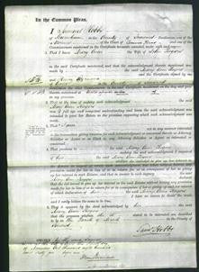 Court of Common Pleas - Mary Ann Rogers-Original Ancestry