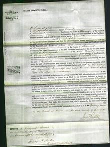 Court of Common Pleas - Elizabeth White-Original Ancestry