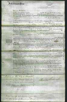 Court of Common Pleas - Mary Hannah Woakes-Original Ancestry