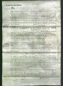 Court of Common Pleas - Dorothy Blackshaw-Original Ancestry