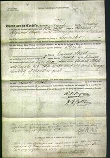 Deed by Married Women - Sarah Sheil-Original Ancestry