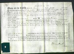 Deed by Married Women - Eliza Mary Cheeseman, Mary Ann Donohue, Eliza Grinsted and Caroline Marsh-Original Ancestry