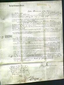 Court of Common Pleas - Mary Goff-Original Ancestry