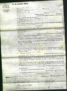 Court of Common Pleas - Anne Walton-Original Ancestry