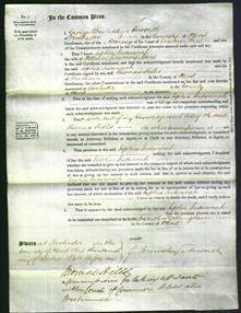 Court of Common Pleas - Sophia Susannah Meers-Original Ancestry