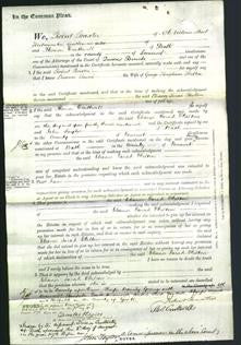 Court of Common Pleas - Eleanor Sarah Skelton-Original Ancestry