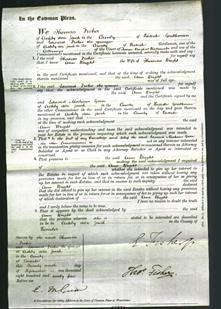 Court of Common Pleas - Ann Wright-Original Ancestry