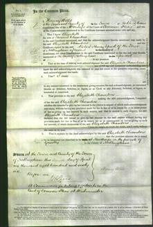 Court of Common Pleas - Elizabeth Chambers-Original Ancestry