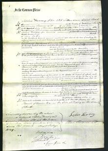 Court of Common Pleas - Jane Baker-Original Ancestry