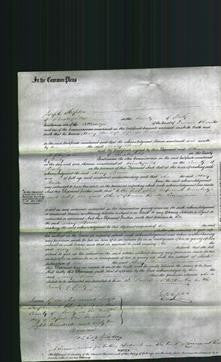 Court of Common Pleas - Mary Bower-Original Ancestry