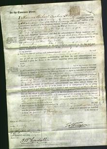 Court of Common Pleas - Sarah Green, Frances Fisher, Ann Willis, Amy Griffiths, Ann Motteram and Clara Wright-Original Ancestry