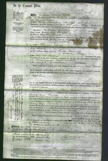 Court of Common Pleas - Mary Ann Smart-Original Ancestry