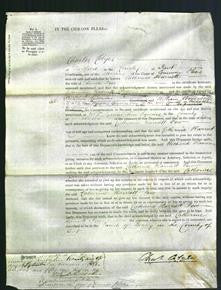 Court of Common Pleas - Catherine Harriett Pew-Original Ancestry