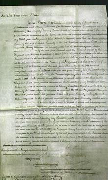 Court of Common Pleas - Jane Kennedy-Original Ancestry