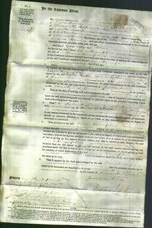 Court of Common Pleas - Jane Humphries-Original Ancestry