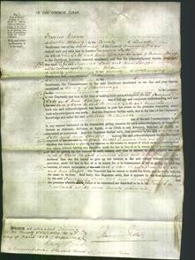 Court of Common Pleas - Susanna Lake and Ann Spriggs-Original Ancestry