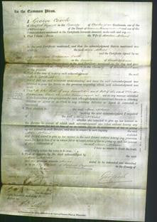 Court of Common Pleas - Ann Atkins-Original Ancestry