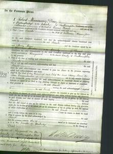 Court of Common Pleas - Sarah Herrington