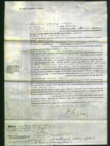 Court of Common Pleas - Sarah Drew-Original Ancestry