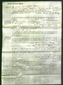 Court of Common Pleas - Anne Coombs Bailey-Original Ancestry