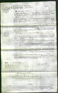 Court of Common Pleas - Ann Ormrod-Original Ancestry