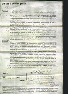 Court of Common Pleas - Elizabeth Nixon-Original Ancestry