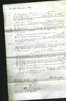 Court of Common Pleas - Phebe Tennant-Original Ancestry