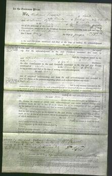 Court of Common Pleas - Mary Crabtree-Original Ancestry