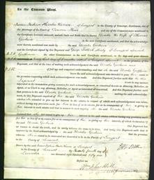 Court of Common Pleas - Ursula Goodwin-Original Ancestry