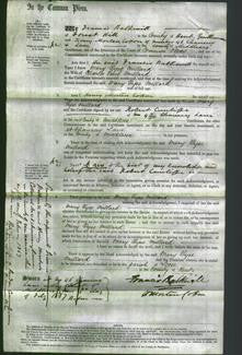 Court of Common Pleas - Mary Vyse Millard-Original Ancestry