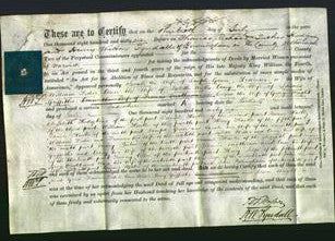 Deed by Married Women - Sarah Green, Frances Fisher, Ann Willis, Amy Griffiths, Ann Motteram and Clara Wright-Original Ancestry