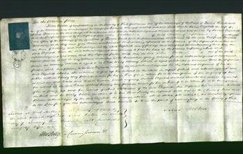 Court of Common Pleas - Elizabeth Dennis-Original Ancestry