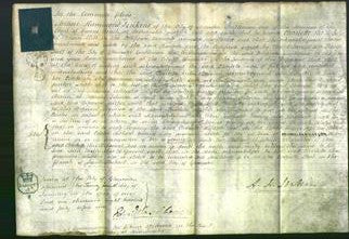 Court of Common Pleas - Charlotte Hill-Original Ancestry