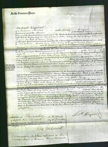 Court of Common Pleas - Ann Potter, Betsey Potter and Emma Woods-Original Ancestry