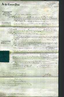 Court of Common Pleas - Jane Davies-Original Ancestry