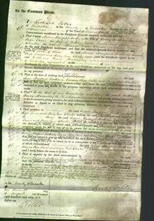 Court of Common Pleas - Annie Margaret Law Southam, Emma Eliza Law Davis and Mary Jane Law Wheeler