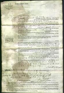 Court of Common Pleas - Harriet Irving-Original Ancestry