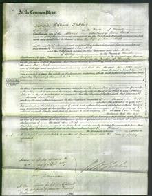 Court of Common Pleas - Ann Mapp-Original Ancestry