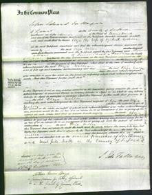 Court of Common Pleas - Eliza Weller-Original Ancestry