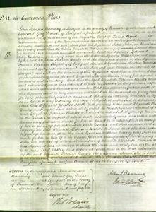 Court of Common Pleas - Elizabeth Paterson Banks-Original Ancestry