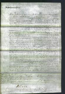 Court of Common Pleas - Jane Mann and Harriet Brice-Original Ancestry