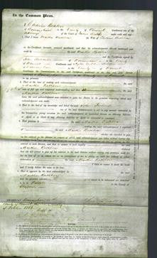 Court of Common Pleas - Martha Rathbone-Original Ancestry