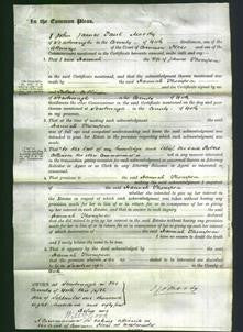 Court of Common Pleas - Hannah Thompson-Original Ancestry