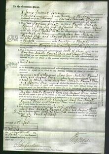 Court of Common Pleas - Mary Ann Nicholls, Hannah Price and Margaret Price-Original Ancestry