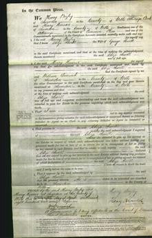 Court of Common Pleas - Eliza Sewell-Original Ancestry