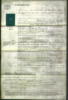 Court of Common Pleas - Lydia Legrand-Original Ancestry