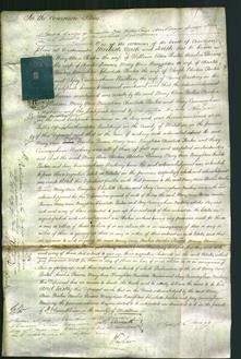 Court of Common Pleas - Mary Ann Ponten, Amelia Parsons, Mary Ann Broughton, Charlotte Ponten, Jessy Cunningham Newberry-Original Ancestry