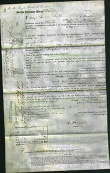 Court of Common Pleas - Eliza Hack-Original Ancestry