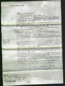 Court of Common Pleas - Anne Burchett-Original Ancestry